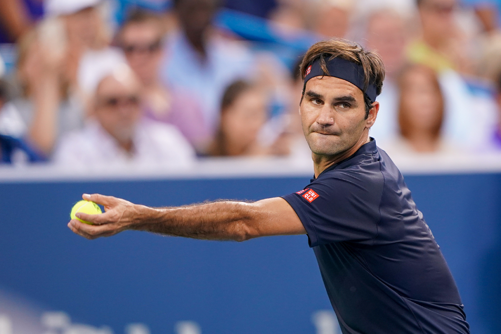 关注度在首 关注度在首