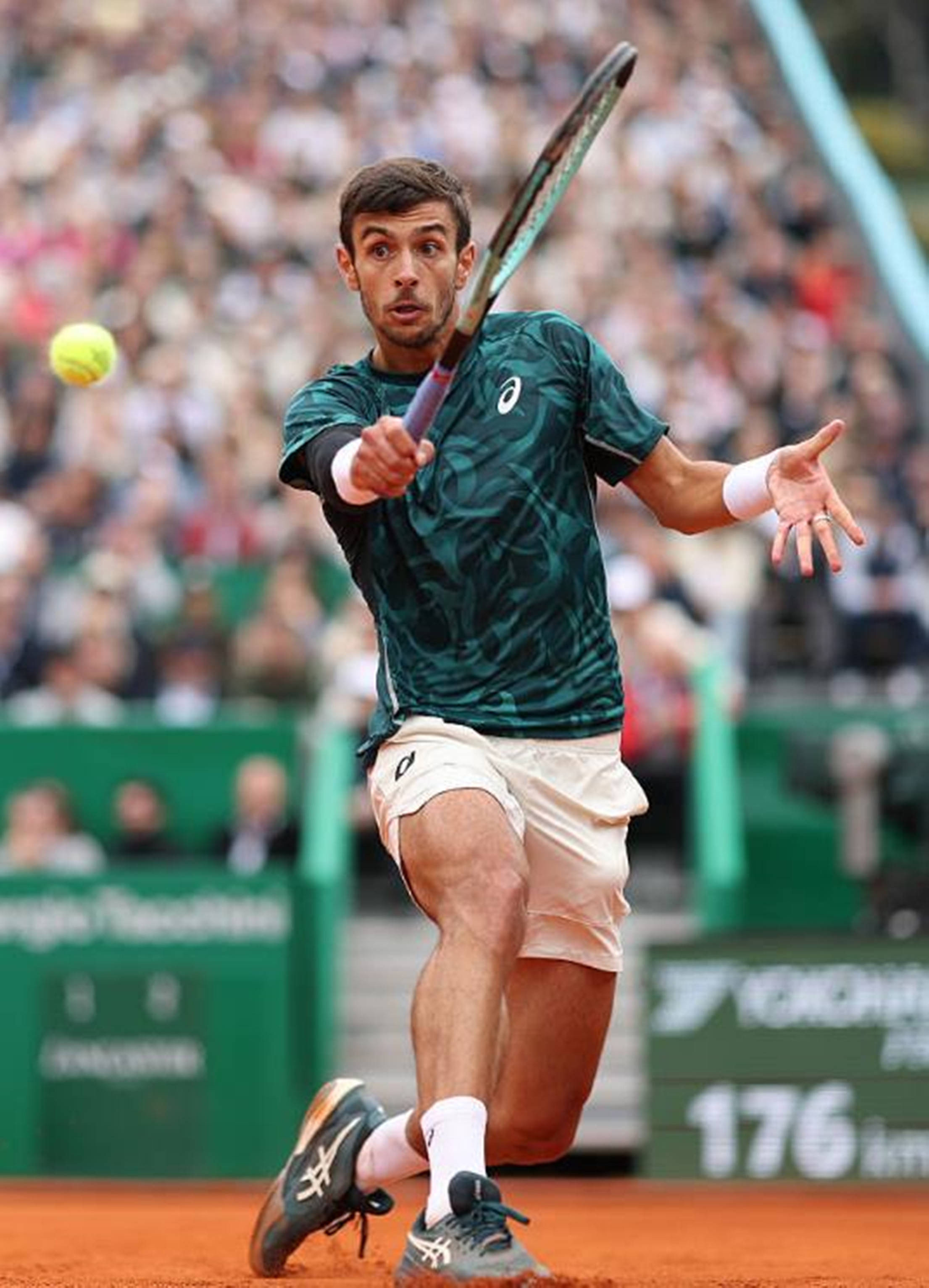 作逻辑与资 作逻辑与资